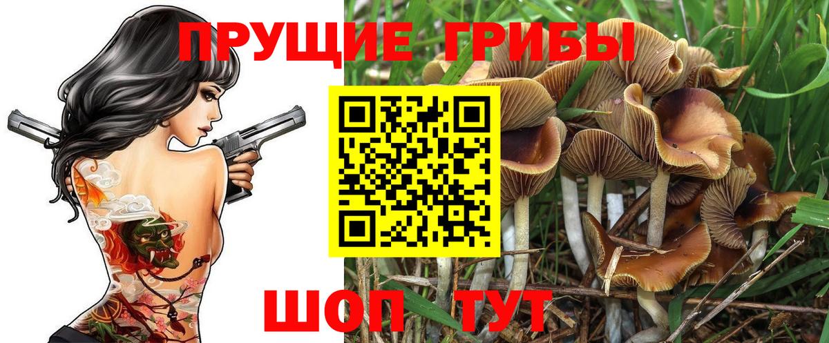 купить  цена  Галлюциногенные грибы Magic Shrooms  Вход с VPN  Железноводск 